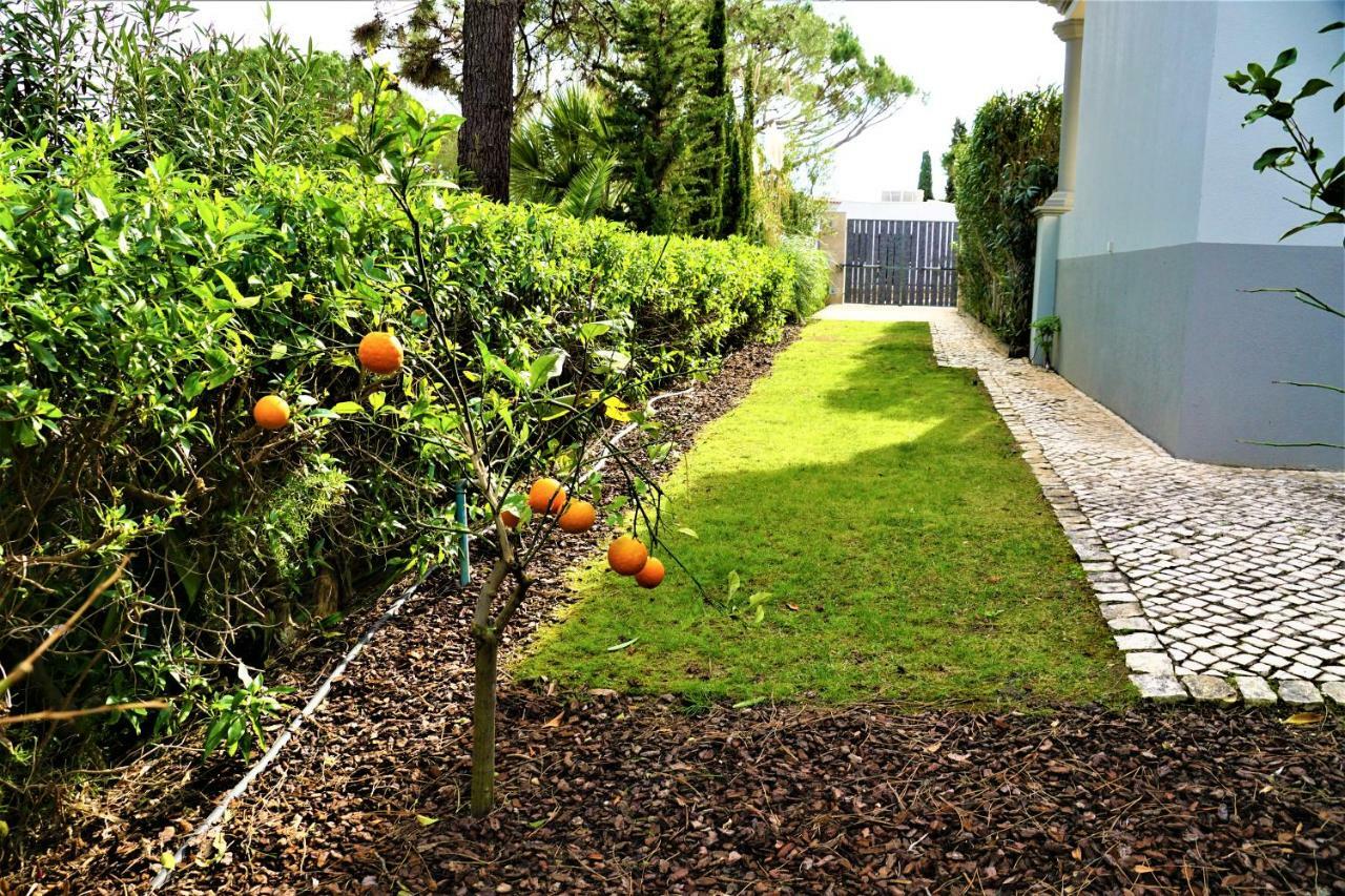 Charming Exceptional Golf Villa In Algarve Фару Екстер'єр фото
